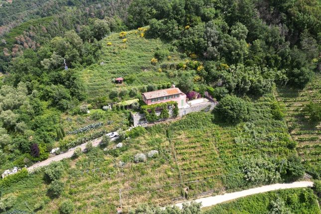 Villa for sale in Versilia Sea View, Montignoso, Massa And Carrara, Tuscany, Italy