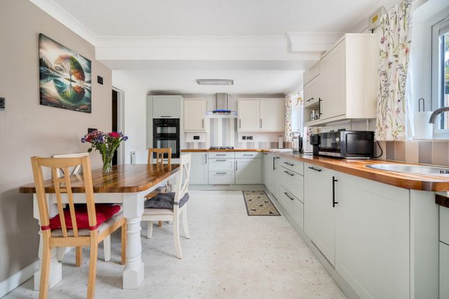 8, Holmes Road, Newton Abbot photo 4