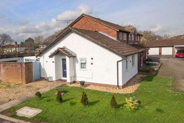 Thumbnail Bungalow for sale in Evergreen Close, Marchwood, Southampton