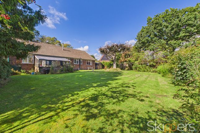 83a Front Road, Ashford photo 4