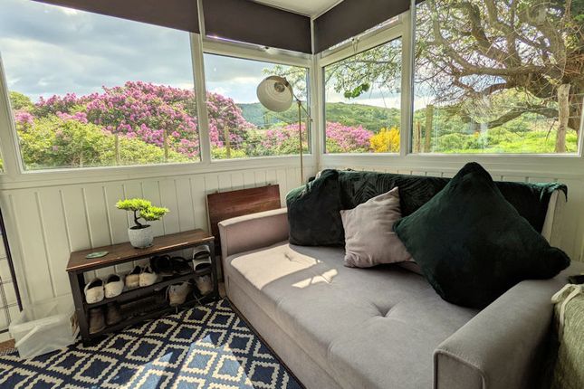 60, Tywyn photo 4