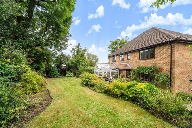 Thaneville, Vigo Lane, Hampshire photo 4