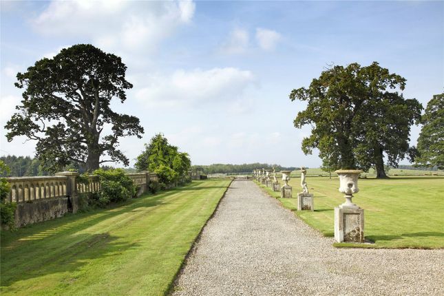 Grounds