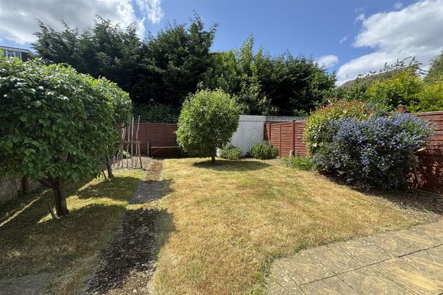 43, Middlemarch, Witley photo 3