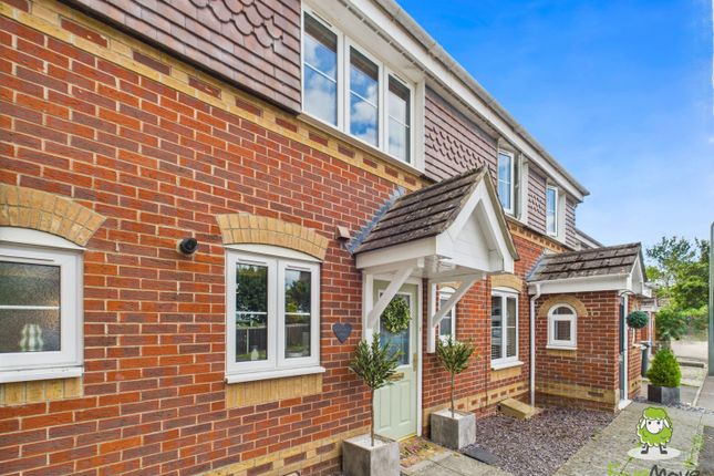 Ewemove Basingstoke Estate Agents