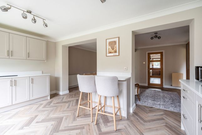 3 Pimpernel Road, Norwich photo 4