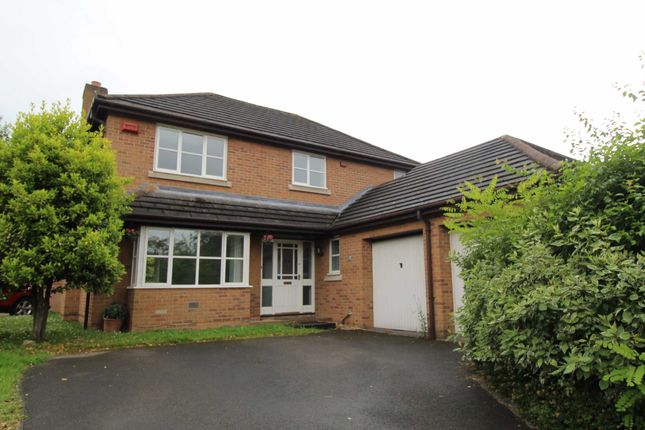 Thumbnail Detached house to rent in Kingsbury Close, Appleton, Warrington