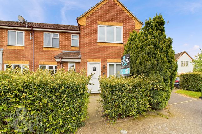 Semi-detached house to rent in Wild Flower Way, Ditchingham, Bungay