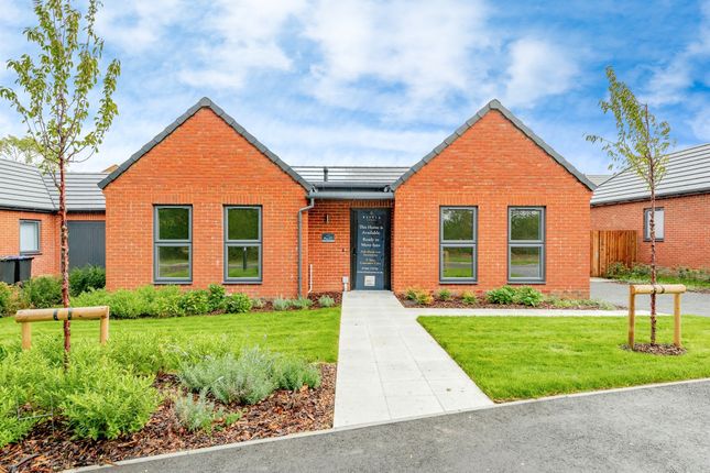 Thumbnail Detached bungalow for sale in Aston Meadows, Crawley Down, Crawley