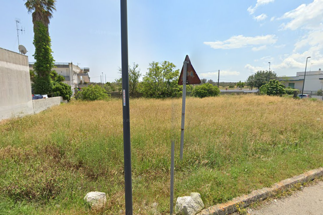 Thumbnail Land for sale in Ortelle, Puglia, Italy