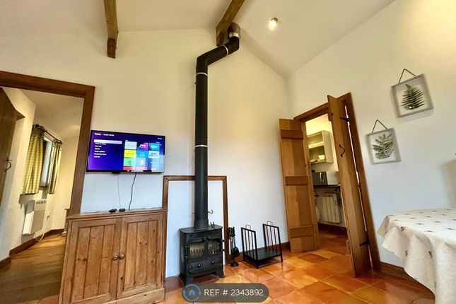 Tv &amp; Fireplace
