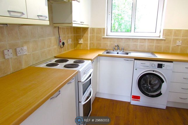 Mcmahon Grove, Bellshill photo 4