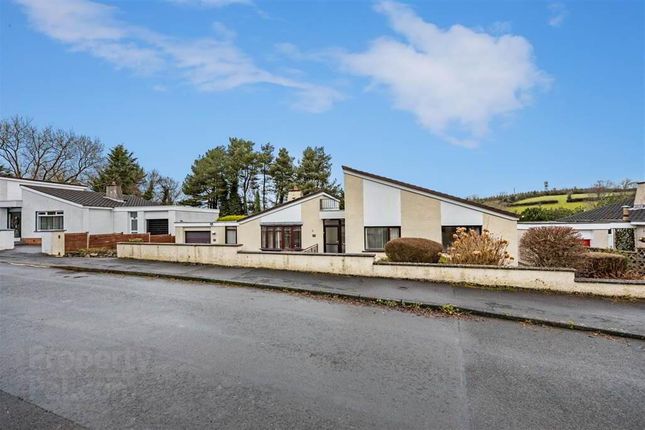 Thumbnail Detached bungalow for sale in The Drumlins, Ballynahinch