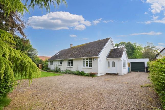 Thumbnail Detached bungalow for sale in Longhoughton Road, Lesbury, Alnwick