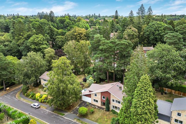 21, Rozeldene, Surrey photo 2