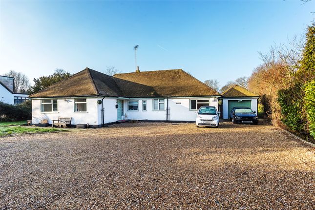 Thumbnail Bungalow for sale in Newdigate Road, Beare Green, Dorking