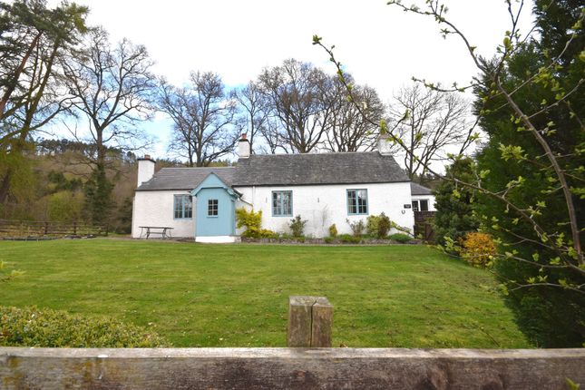 Thumbnail Cottage to rent in Manse Road, Caputh, Perthshire