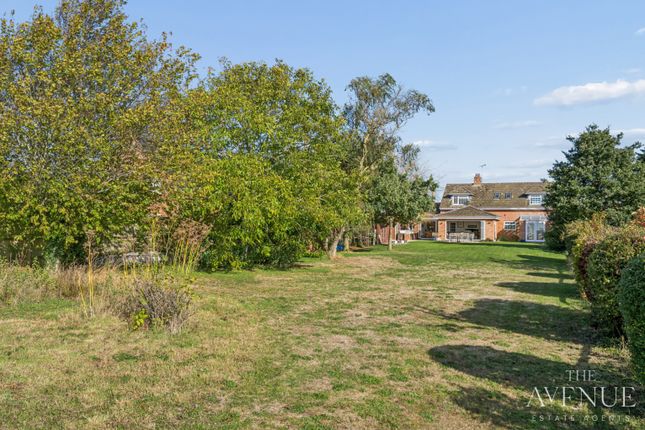 Beggarsbush Hill, Wallingford photo 4