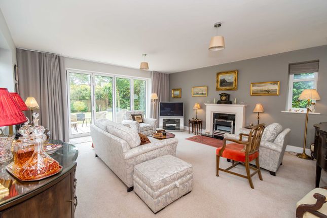 23, Dormy Crescent, Ferndown photo 3