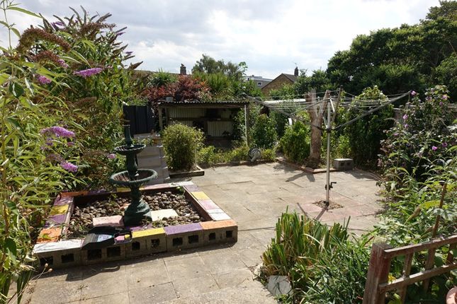 8 Windmill Road, Canterbury photo 4