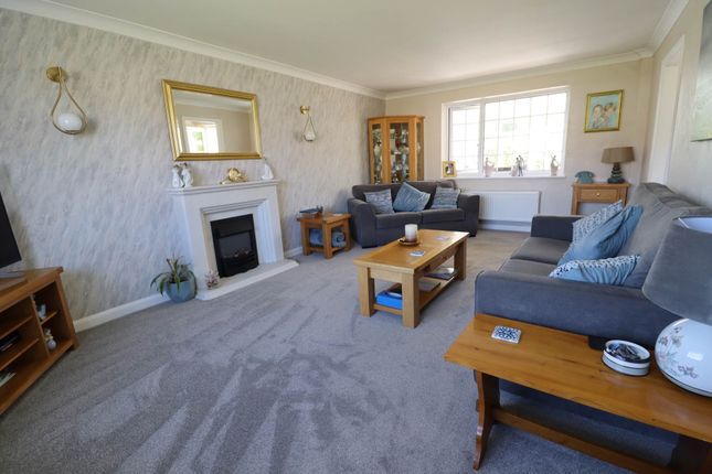 18, East Sands, Marlborough photo 4