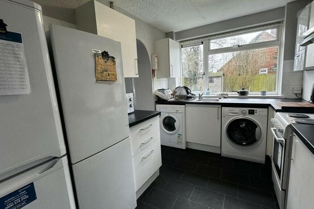 Property to rent in Conifer Close, Colchester