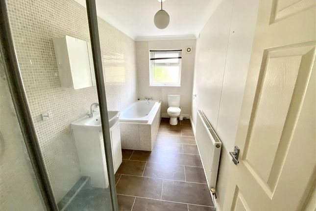 24, MOUNTAIN ASH photo 5