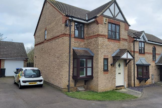 Thumbnail Detached house to rent in Shackleton Drive, Daventry, Northants