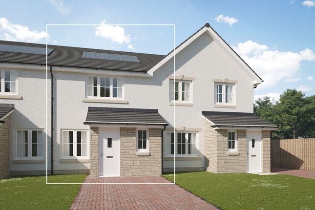 Thumbnail Terraced house for sale in "The Cypress" at Stirling