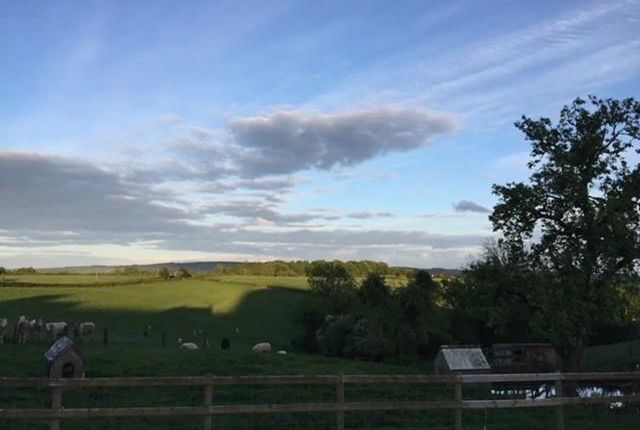 Views 4.Jpg