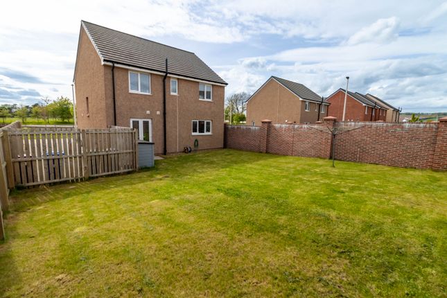 10, Oswald Street, Carnoustie photo 4