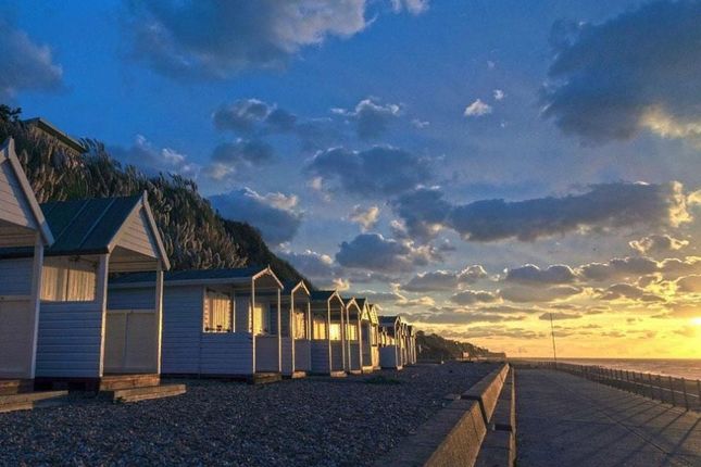Sun Spot, 6 Pages Parade, Bexhill on Sea photo 2