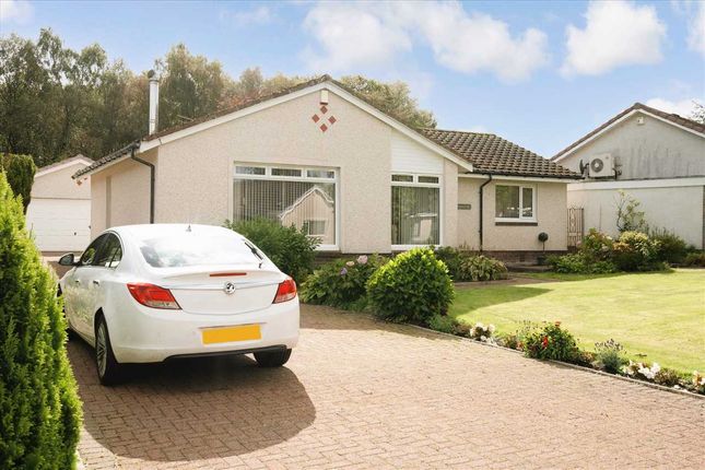 Thumbnail Bungalow for sale in Wellesley Crescent, Hairmyres, East Kilbride