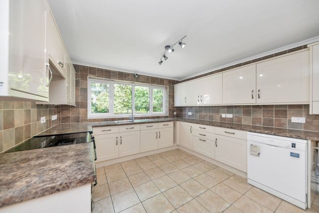 7 Shrubbery Grove, Royston photo 3