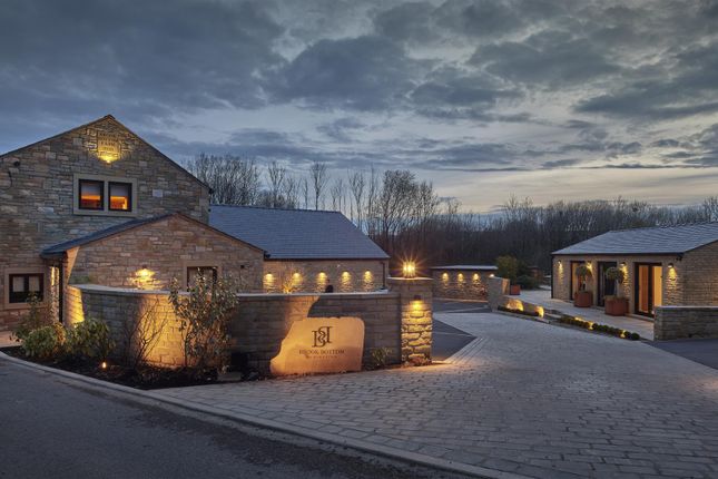 Brook Bottom By Night
