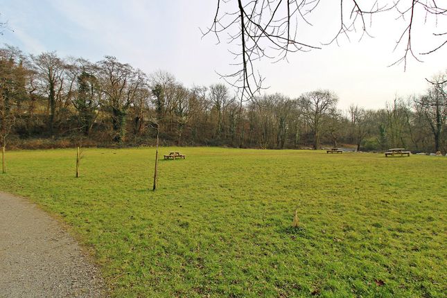 Grounds