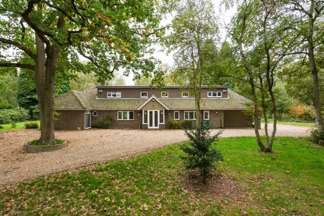 5-bed bungalow on Cliffe Wood,, North Cliffe, East Yorkshire, £730,000
