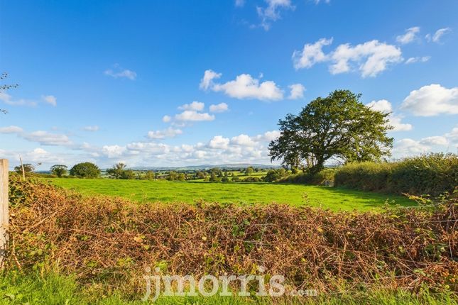 9 Highfield Park, Narberth photo 4