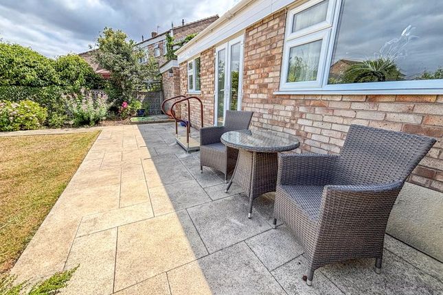 Patio Area