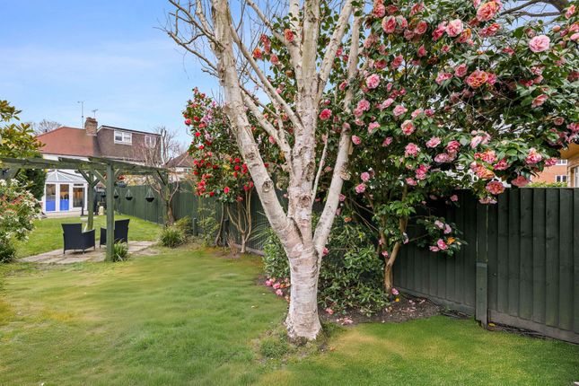 10 Knole Grove, East Grinstead photo 4
