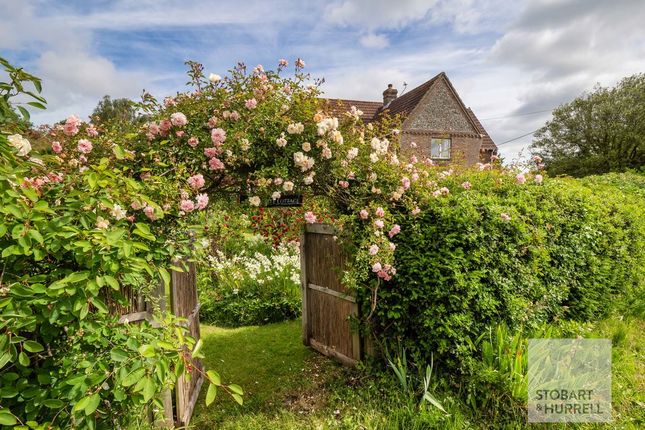 Pennygate Cottage, Pennygate, Norwich photo 4