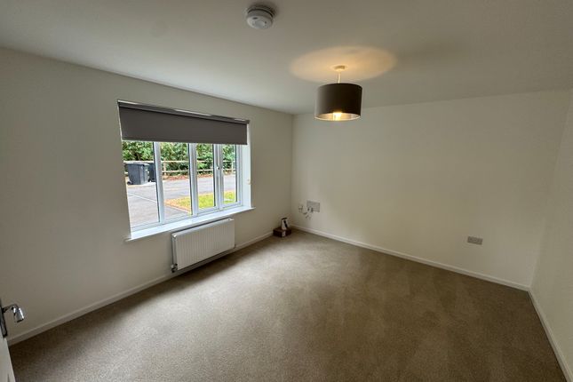 8, Daffodil Close, Brandon photo 5