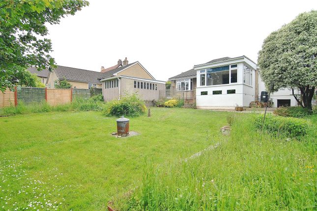 Thumbnail Bungalow to rent in Burma Road, Forest Green, Nailsworth, Stroud