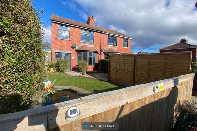 Thumbnail Semi-detached house to rent in Rosemary Avenue, Blackpool