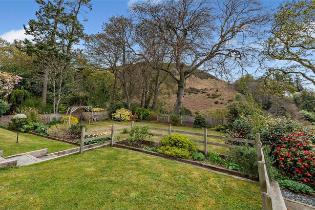 Garden And View