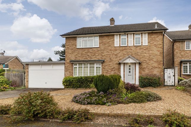 Thumbnail Detached house to rent in Chilmans Drive, Bookham, Leatherhead