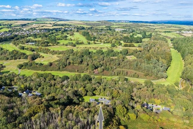 Parry 8 Oakridge St. Mellion-35.Jpg