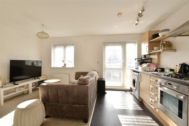 Lounge/Kitchen /Dining Room