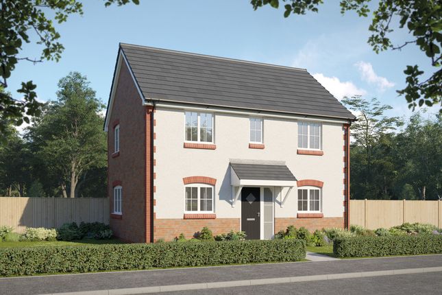 The Wood, Stoke On Trent photo 4