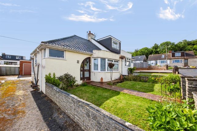31, Glenfalls Avenue, Brighton photo 4